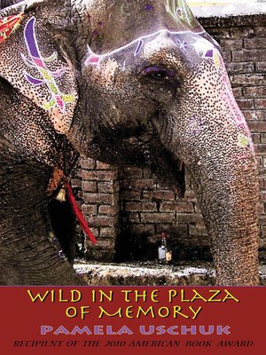 cover image of Wild in the Plaza of Memory
